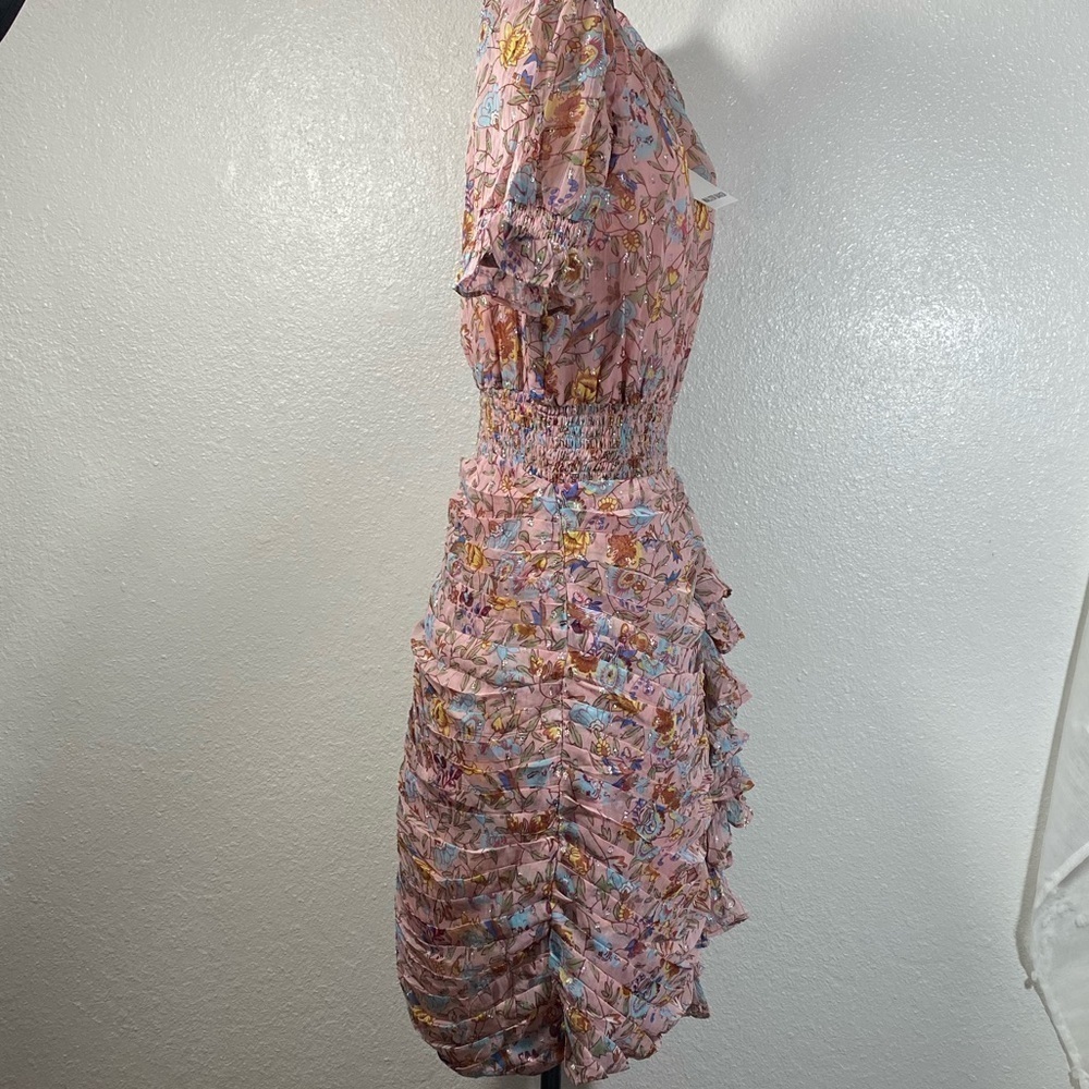 NWT Walter Baker Mars dress in pink primrose size 4 - Picture 13 of 16